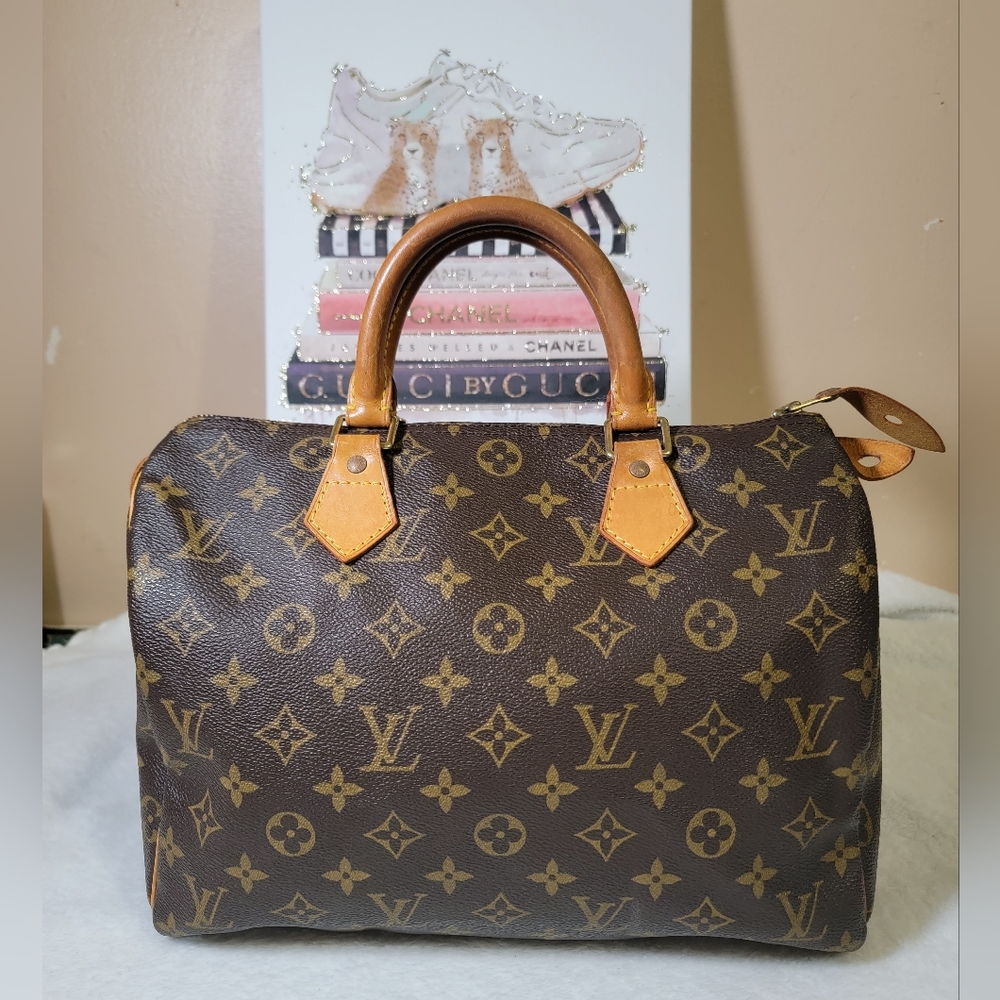 LOUIS VUITTON Speedy 30 Handbag